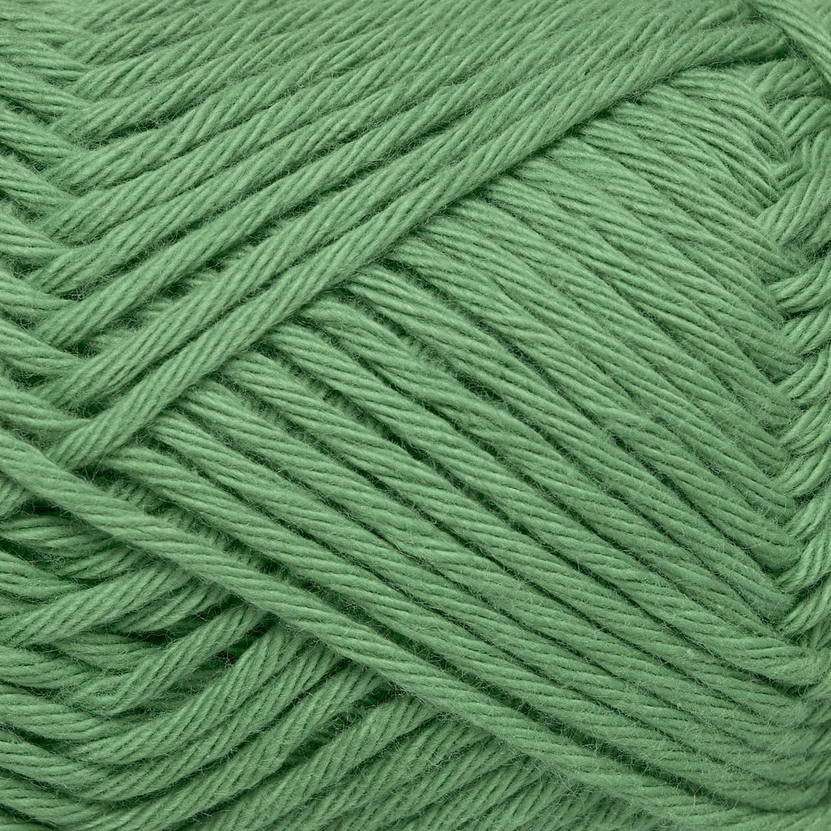 Cotton 8/8 Rose Svane